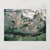 PostCard Congratulations! Feiertagspostkarte (Vorderseite)