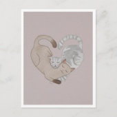 Postcard - Cute Cat Postkarte (Vorderseite)