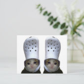Postcard Cutting Cat Croc Hat Meme Postkarte (Stehend Vorderseite)