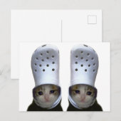 Postcard Cutting Cat Croc Hat Meme Postkarte (Vorne/Hinten)