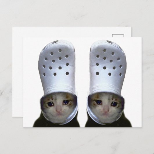 Postcard Cutting Cat Croc Hat Meme Postkarte (Vorne/Hinten)