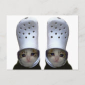 Postcard Cutting Cat Croc Hat Meme Postkarte (Vorderseite)