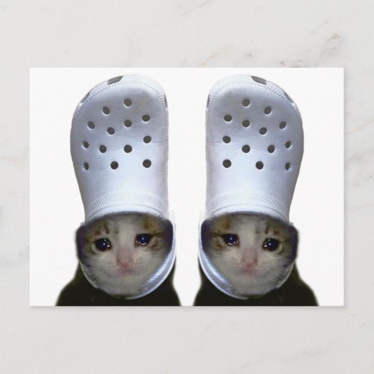 Postcard Cutting Cat Croc Hat Meme Postkarte (Vorderseite)