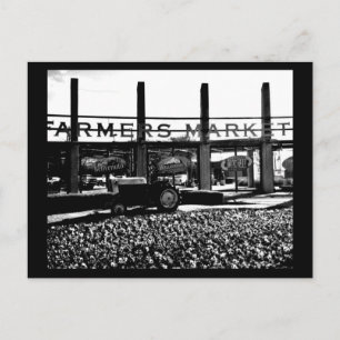 Postcard-Dallas Fotografie-12 Postkarte