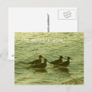 Postcard - Das Wasser ist gut! Postkarte