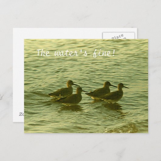 Postcard - Das Wasser ist gut! Postkarte (Vorne/Hinten)