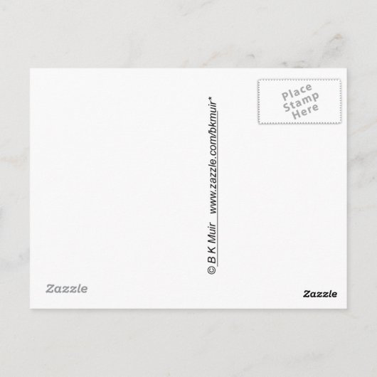 Postcard - Das Wasser ist gut! Postkarte (Rückseite)