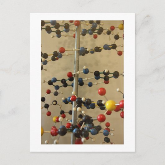 Postcard DNA Modell Postkarte (Vorderseite)