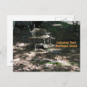 Postcard Fairy House Garden auf der Insel Monhegan Postkarte (Vorne/Hinten)