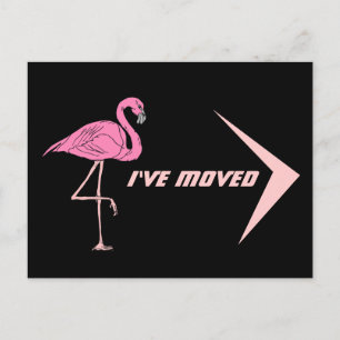 Postcard Flamingo Ich habe neue Adresse PC Retro v Ankündigungspostkarte
