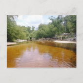 Postcard - Fluss Sandbar Postkarte (Vorderseite)