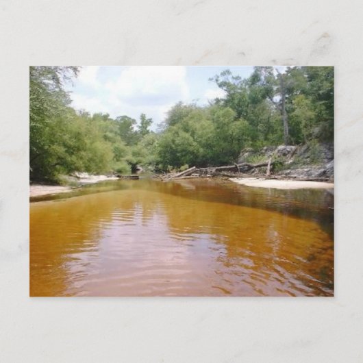 Postcard - Fluss Sandbar Postkarte (Vorderseite)