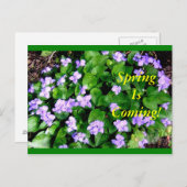 Postcard for Spring Postkarte (Vorne/Hinten)