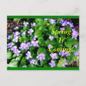 Postcard for Spring Postkarte (Vorderseite)