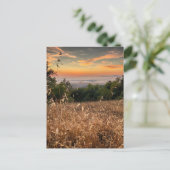 Postcard - Fremont Peak Staat Park, Kalifornien Postkarte (Stehend Vorderseite)