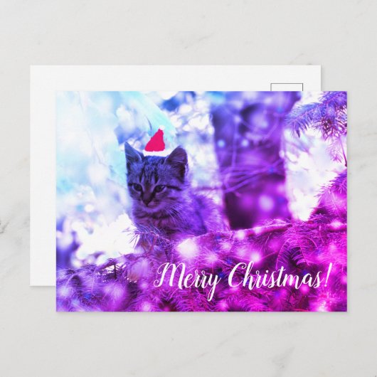 Postcard Frohe Weihnachten Kitten (Vorne/Hinten)
