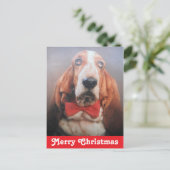 Postcard Frohe Weihnachts Basset Hound Feiertagspostkarte (Stehend Vorderseite)