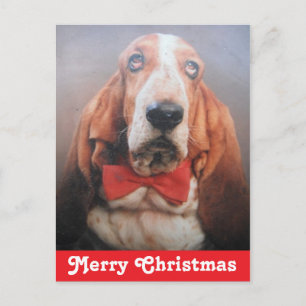 Postcard Frohe Weihnachts Basset Hound Feiertagspostkarte