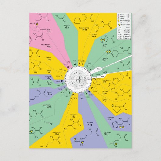 Postcard GeneticCode Aminosäuren-Codons  Postkarte (Vorderseite)
