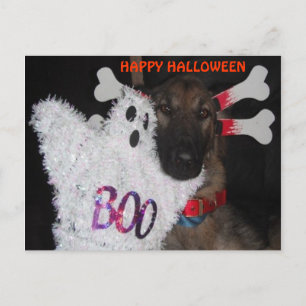 Postcard German Shepherd Halloween Boo Postkarte