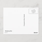 Postcard Gove Brahminy Kite 1 Jahr Postkarte (Rückseite)