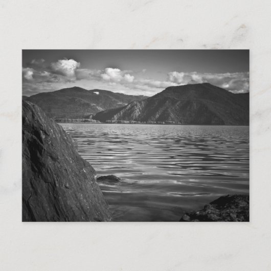 POSTCARD ~ Grüne Monarchen am See Pend Oreille Postkarte (Vorderseite)