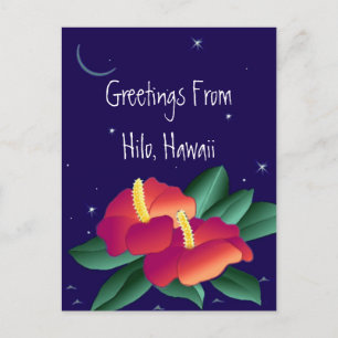 Postcard Gruß aus Hilo Hawaii Tropische Nacht Postkarte