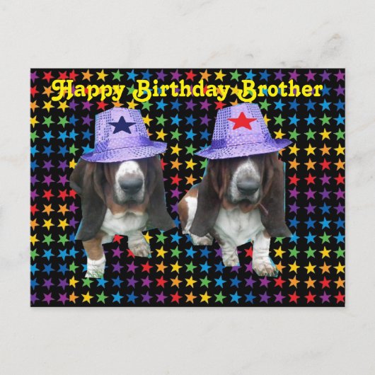 Postcard Happy Brother Birthday Basset Postkarte (Vorderseite)