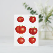 Postcard Heirloom Garden Tomaten/Paradeiser Bauer Postkarte (Stehend Vorderseite)