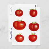 Postcard Heirloom Garden Tomaten/Paradeiser Bauer Postkarte (Vorne/Hinten)