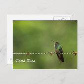 Postcard Hummingbird Costa Rica Postkarte (Vorne/Hinten)