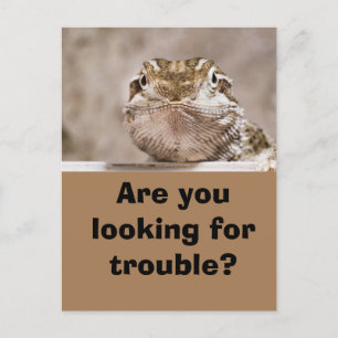 Postcard Humor Echse schaut herausfordernd hervor Postkarte