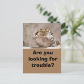 Postcard Humor Echse schaut herausfordernd hervor Postkarte (Stehend Vorderseite)