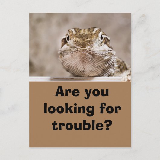 Postcard Humor Echse schaut herausfordernd hervor Postkarte (Vorderseite)