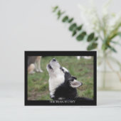 Postcard husky postkarte (Stehend Vorderseite)