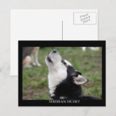 Postcard husky postkarte (Vorne/Hinten)