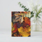Postcard - "I Liebe Fall" von Joanne Coyle Postkarte (Stehend Vorderseite)