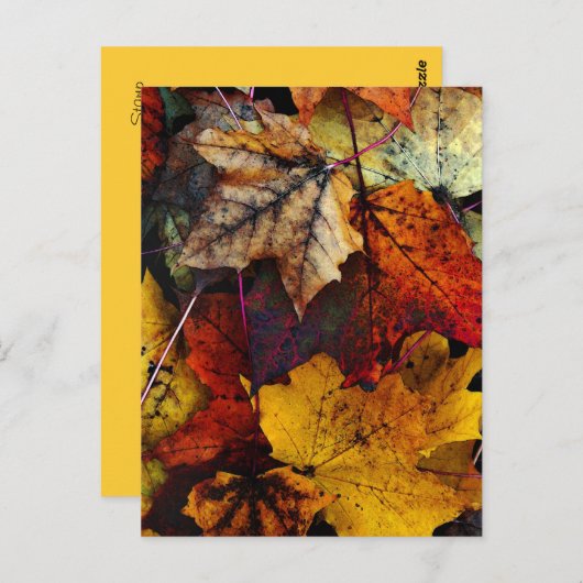 Postcard - "I Liebe Fall" von Joanne Coyle Postkarte (Vorne/Hinten)
