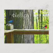 Postcard Indigo Jagd & Rose Grosbeak Postkarte (Vorderseite)