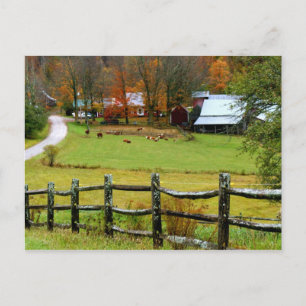Postcard Jenne Farm Postkarte