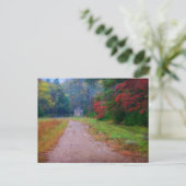 Postcard - John Oliver Cabin - Cades Cove, TN Postkarte (Stehend Vorderseite)