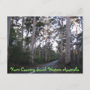 POSTCARD - Karri Country South Western Australien Postkarte