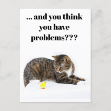 Postcard Katze schaut "Küken" an schwarzer Humor