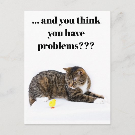 Postcard Katze schaut "Küken" an schwarzer Humor Postkarte (Vorderseite)
