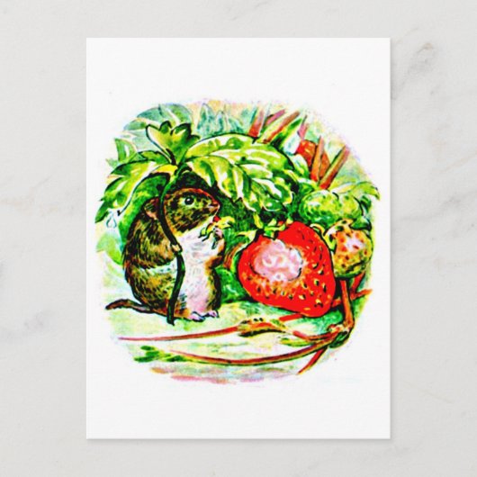 Postcard-Kids Art-Beatrix Potter 13 Postkarte (Vorderseite)