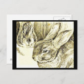 Postcard-Kids Art-Beatrix Potter 25 Postkarte (Vorne/Hinten)
