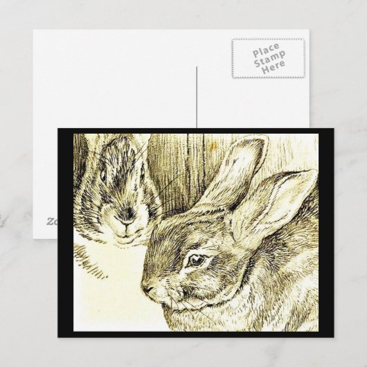 Postcard-Kids Art-Beatrix Potter 25 Postkarte (Vorne/Hinten)