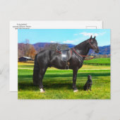 Postcard "King Richard" Postkarte (Vorne/Hinten)