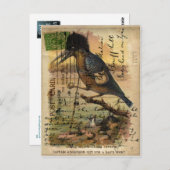 Postcard Kingfisher Postkarte (Vorne/Hinten)