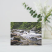 Postcard - Kleiner Taubenfluss, große, rauchige Mö Postkarte (Stehend Vorderseite)